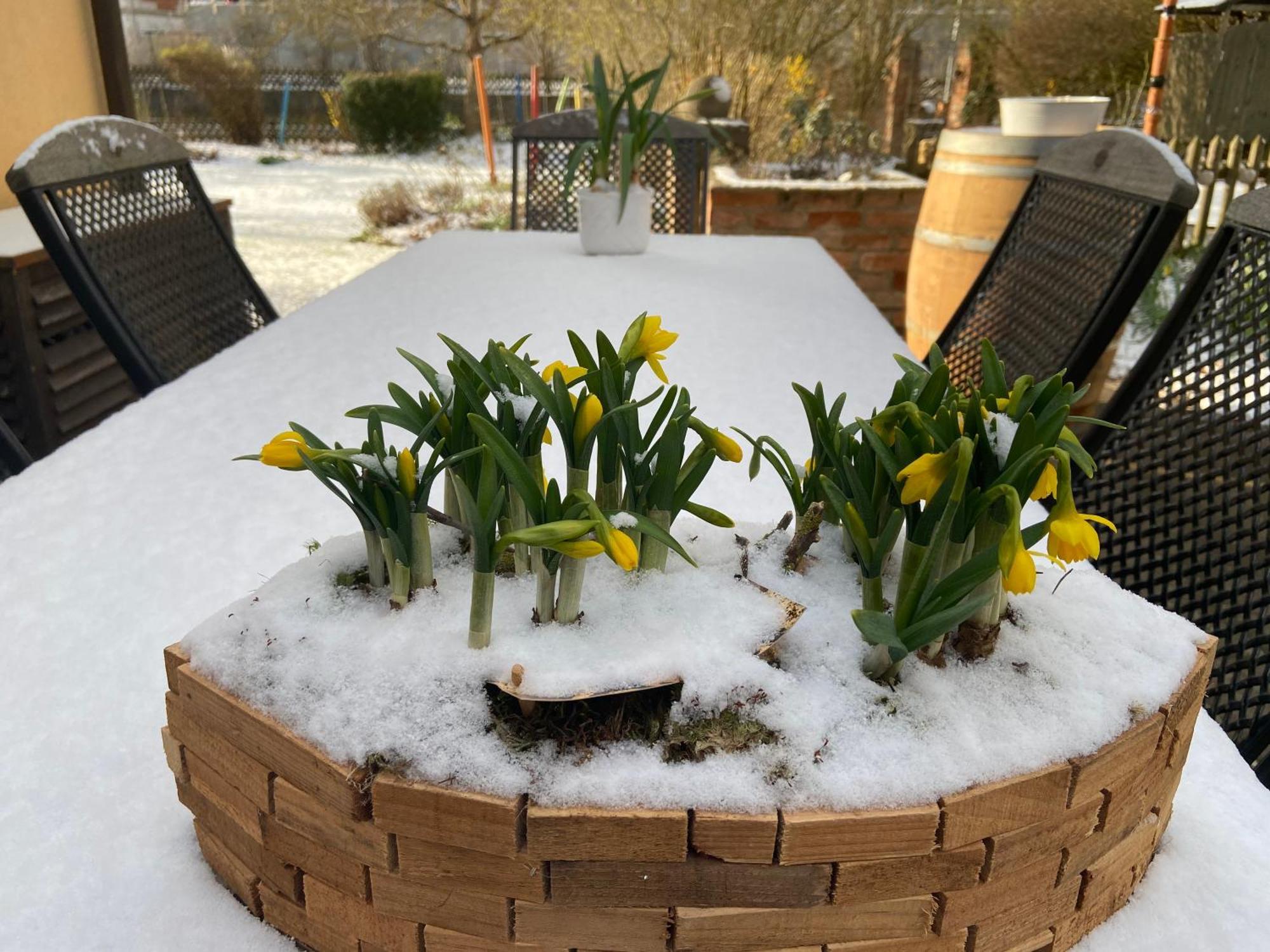Appartamento Schoene Mit Pool Und Sauna Zum Wohlfuehlen *